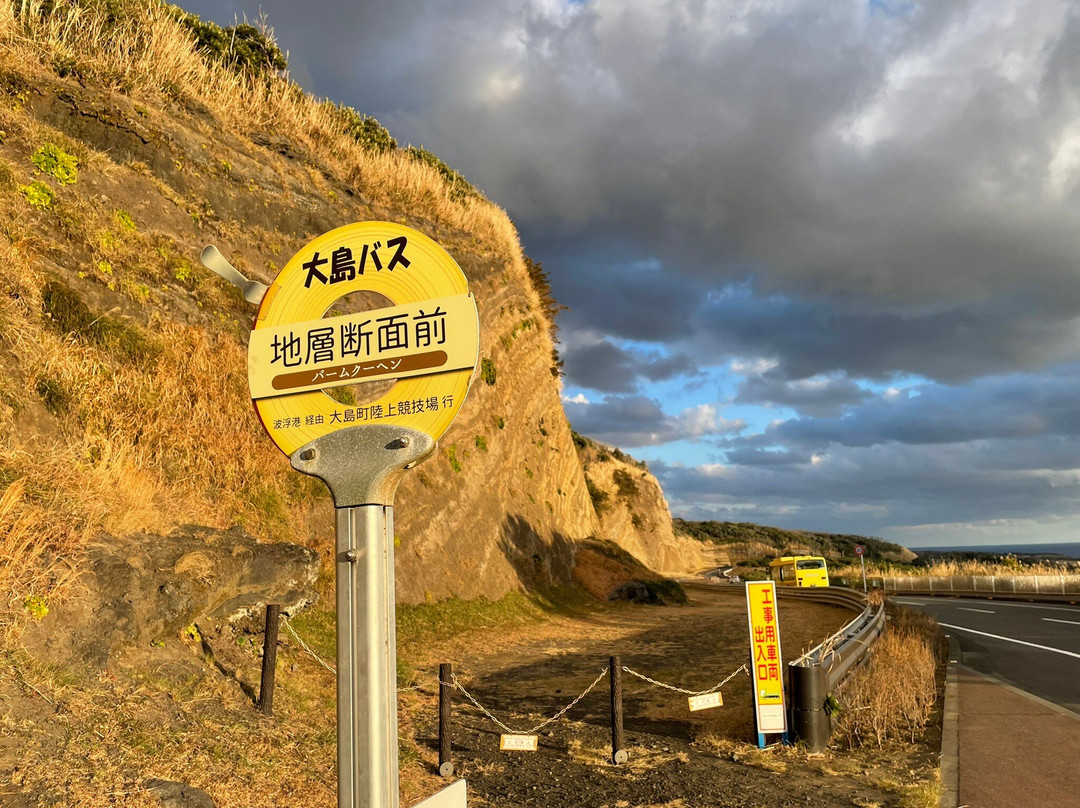 Faulted Strata in Oshima-大岛町必去景点