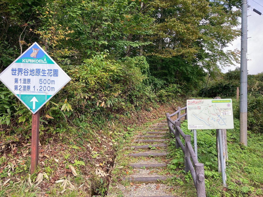 Sekaiyachi Native Flower Trail-栗原市必去景点