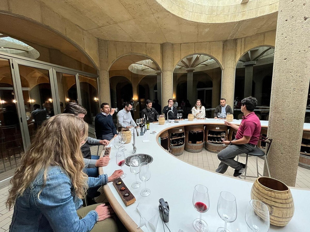 Borravino Wine Tours Spain-毕尔巴鄂必去景点