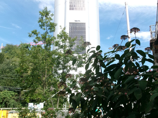 Markthalle Im Viadukt-苏黎世必去景点