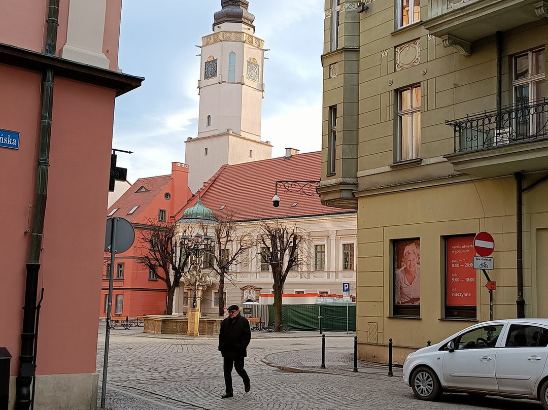 Town Hall, Swidnica (Ratusz w Swidnicy)-Swidnica必去景点
