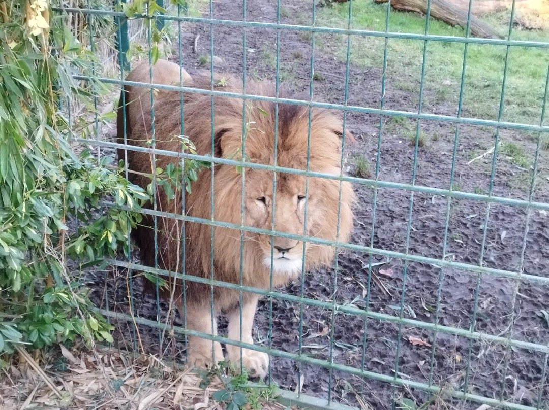 Derr Zoo-Park Arche Noah in Gromitz/Ostsee景点图片