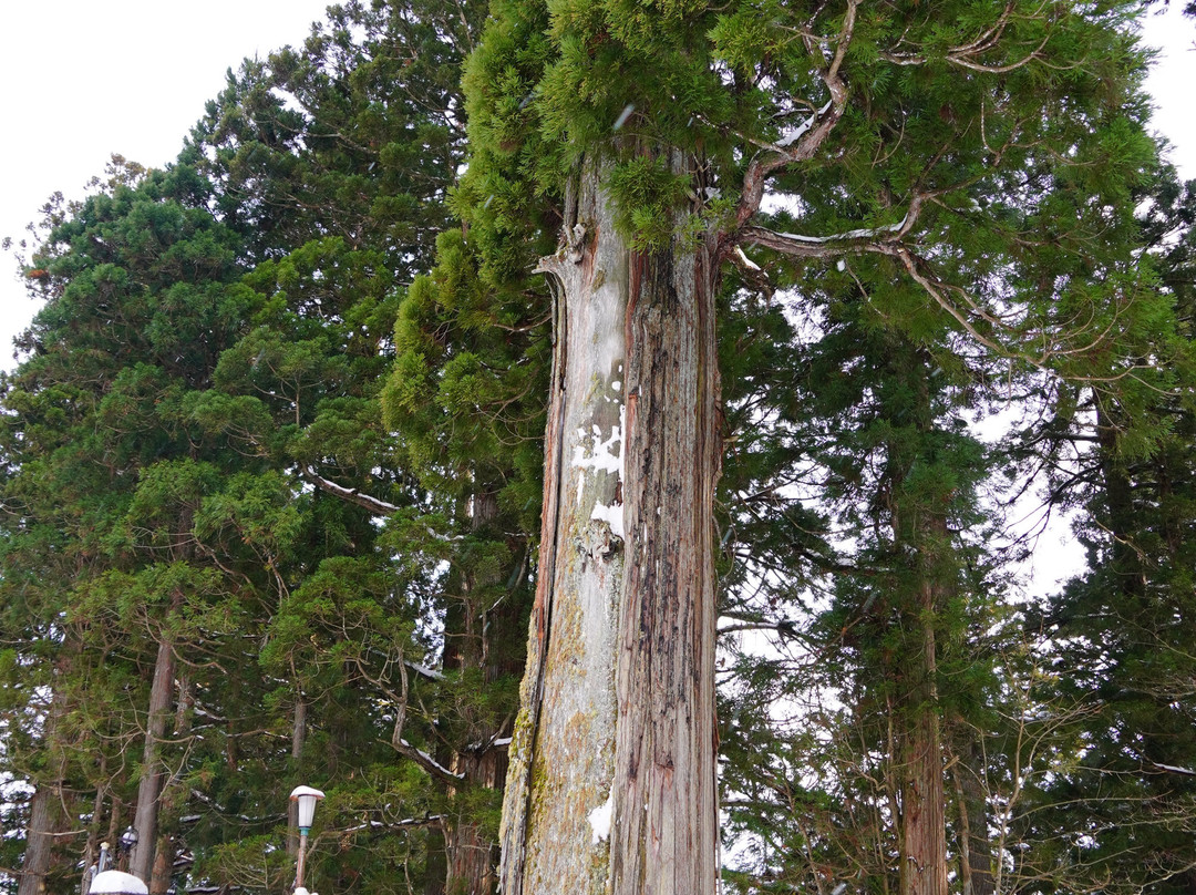 Togakushi Shrine Chusha景点图片
