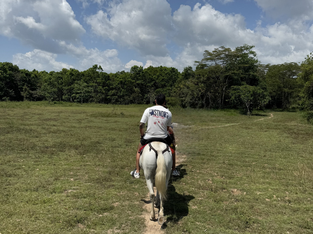 Hotel Alcaraván Colsubsidio主图