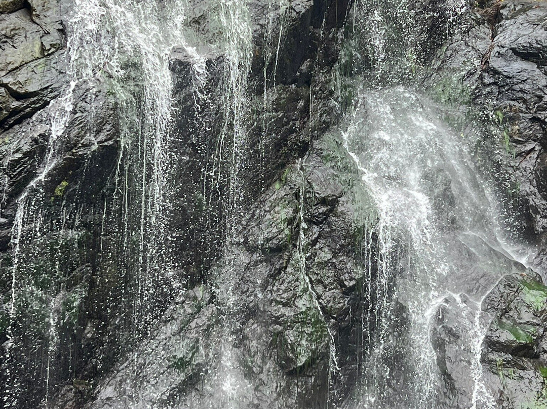 Vuadomo Waterfall - Muanivatu Trails-萨武萨武必去景点