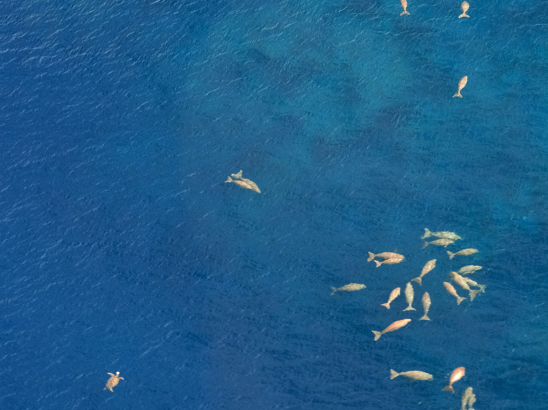 Air Paradise Poe-Bourail必去景点