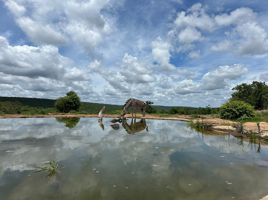 Laluka Safari Lodge主图