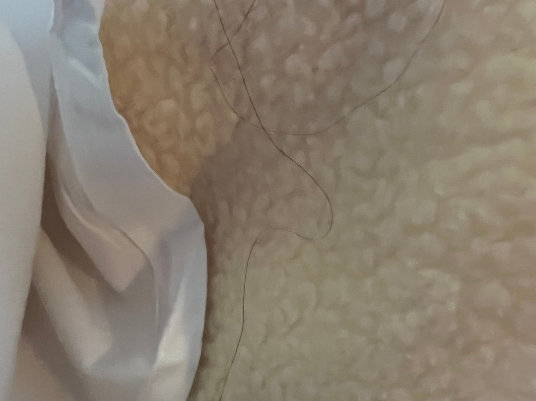 Big Valley Motor Inn主图