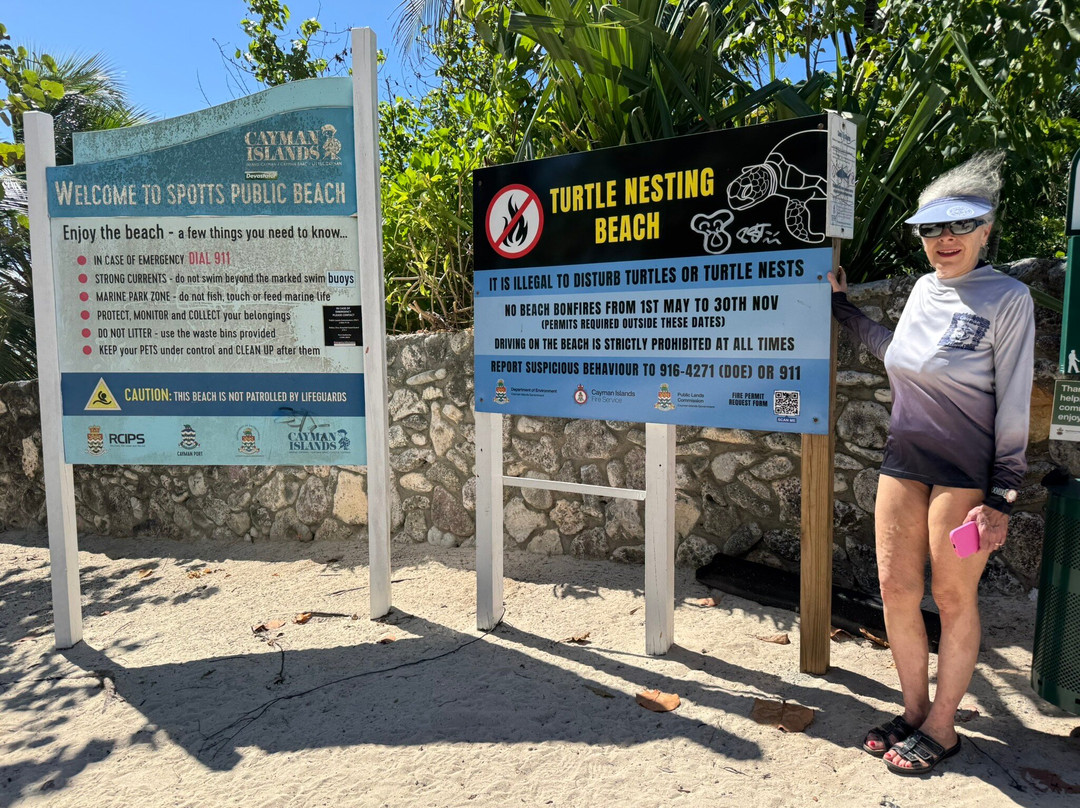 Spotts Beach-大开曼岛必去景点