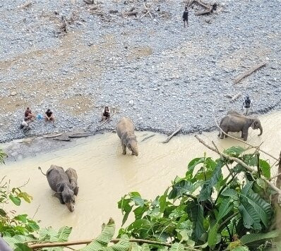 Gnade Cafe Tangkahan