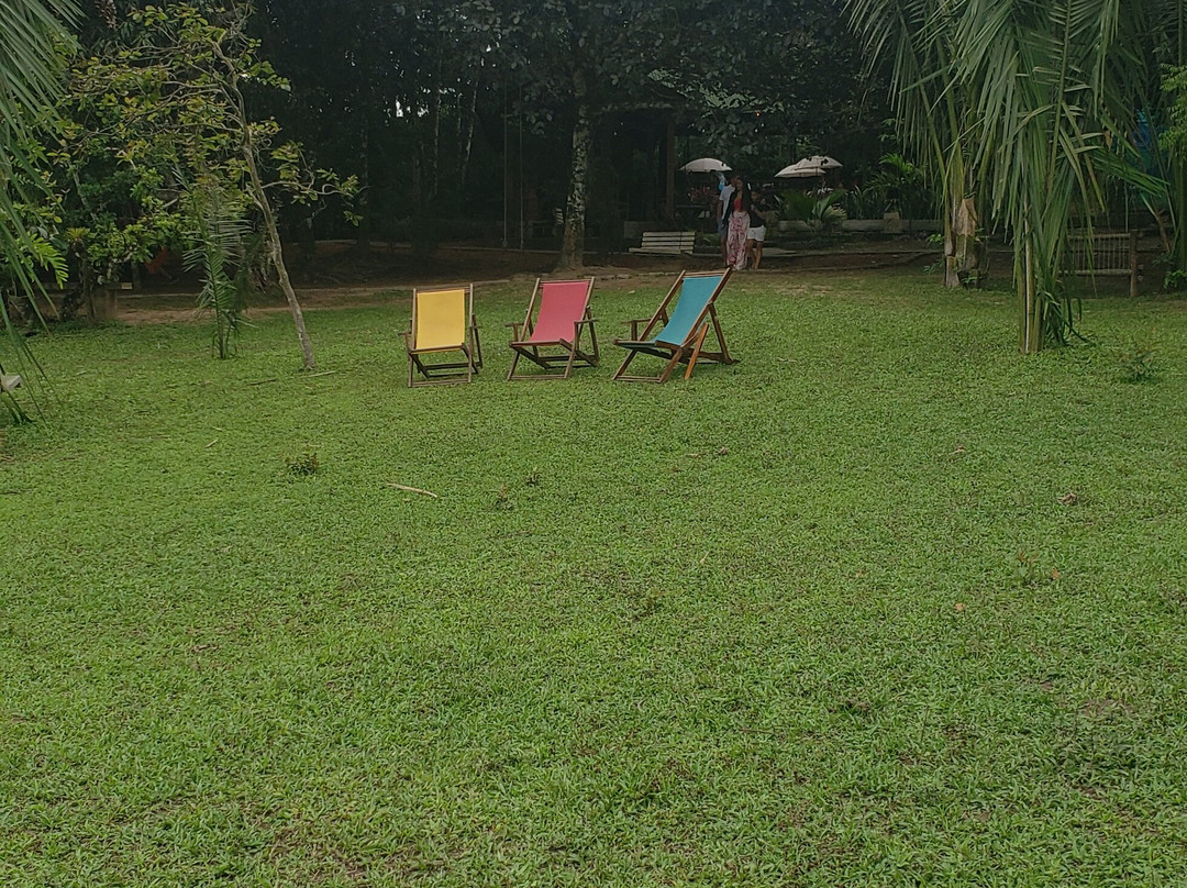 Ipe Park-Sao Benedito必去景点