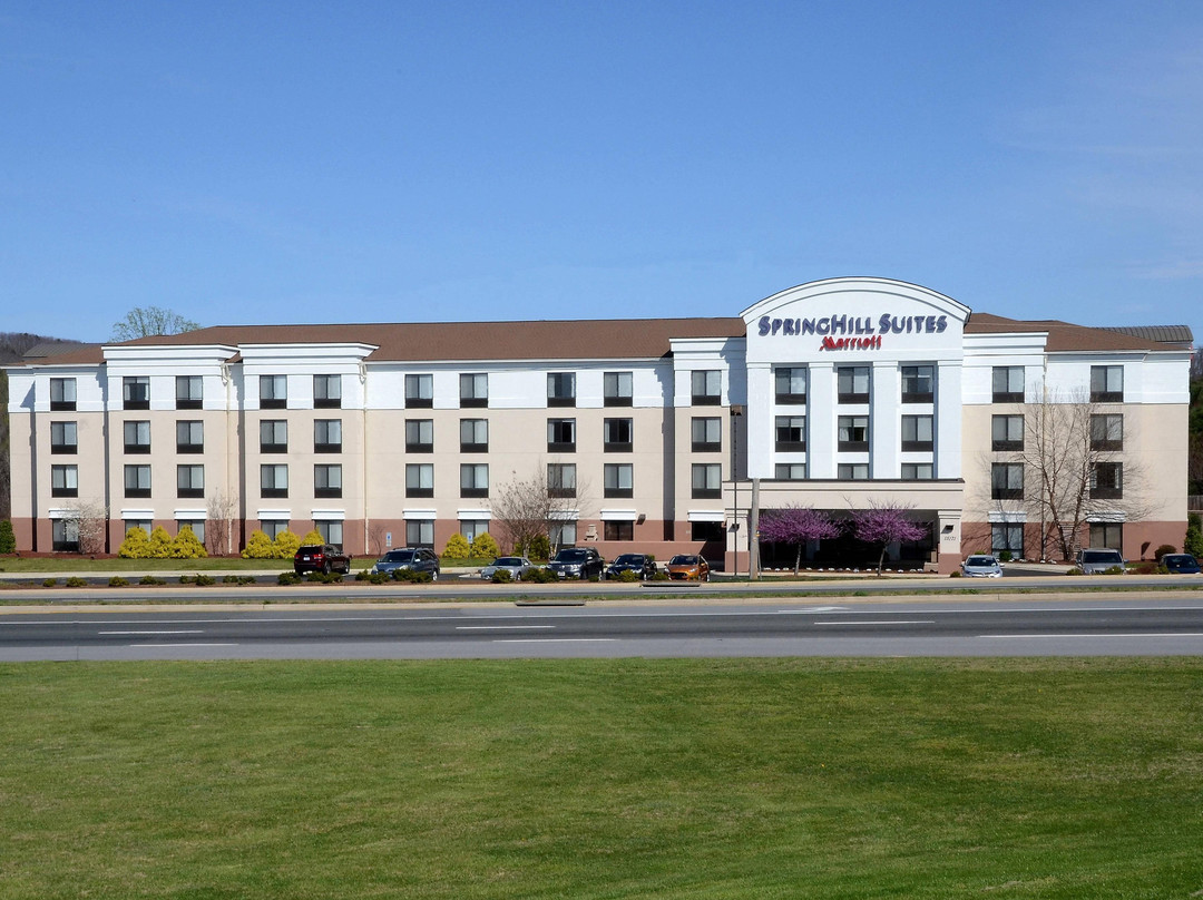 林奇堡春季山丘套房酒店主图