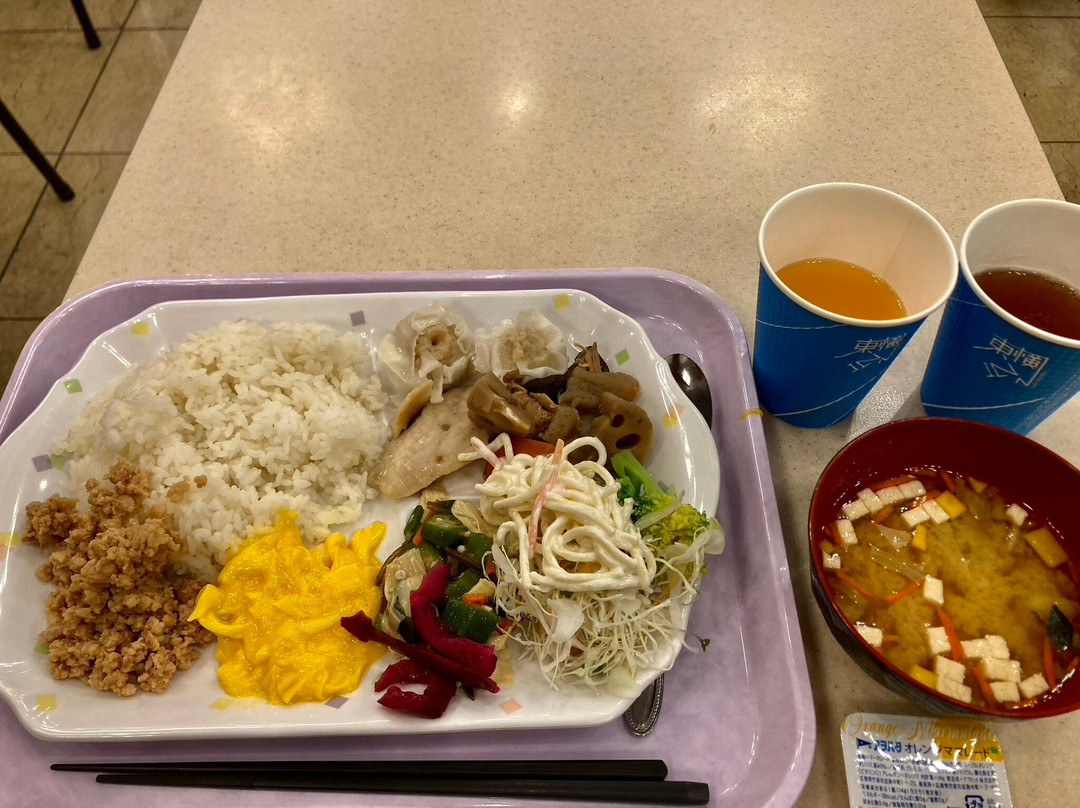 Toyoko Inn Utsunomiya Ekimae 1主图