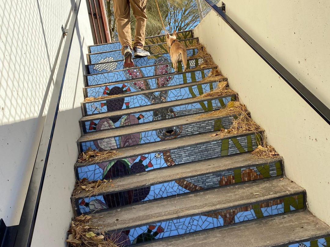 Stairizona Trail-Globe必去景点