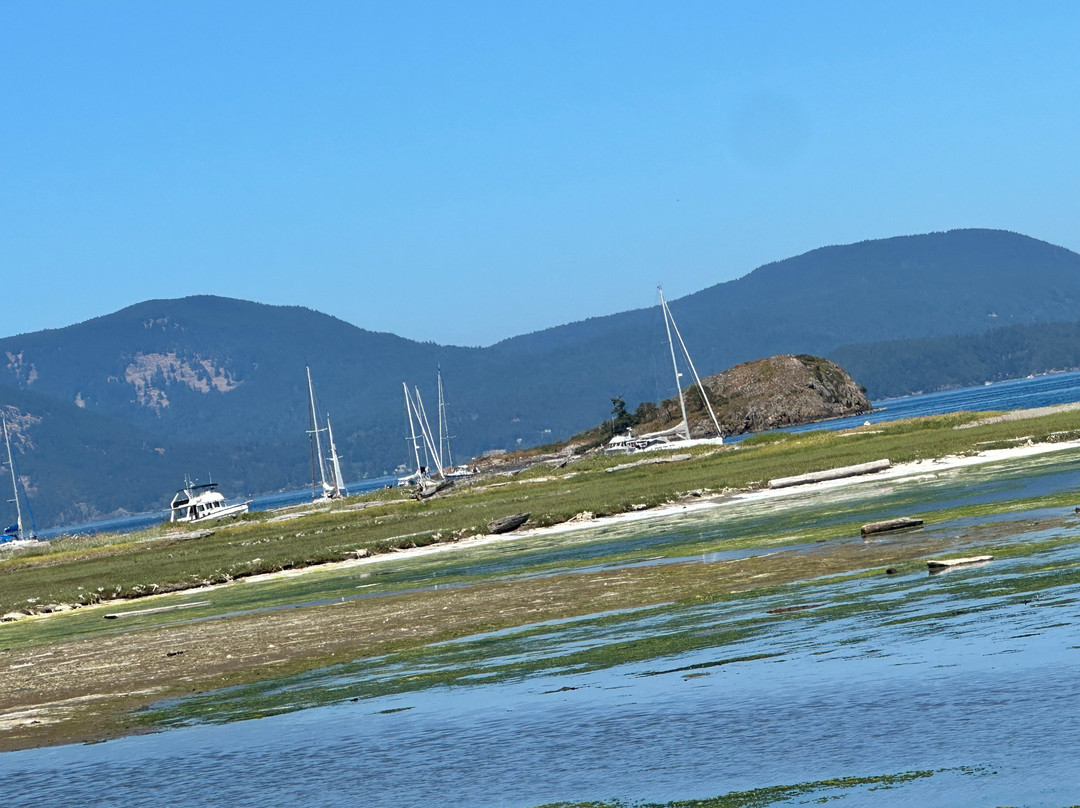 Edenwild Boutique Inn主图