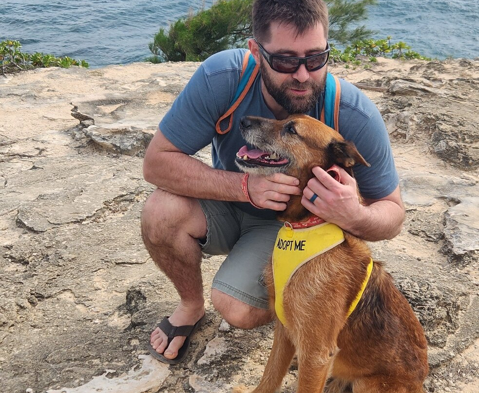 Kauai Humane Society-利胡埃必去景点