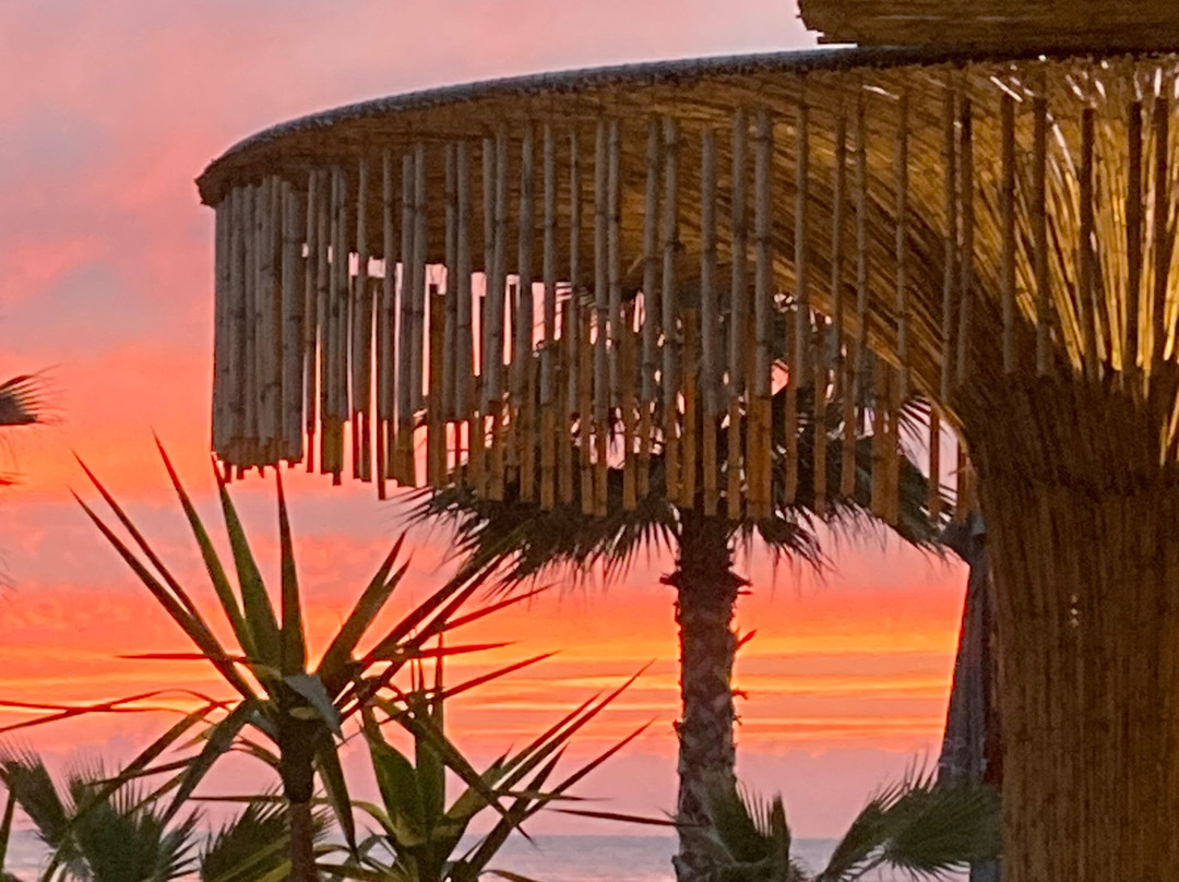 Comfort Suites主图