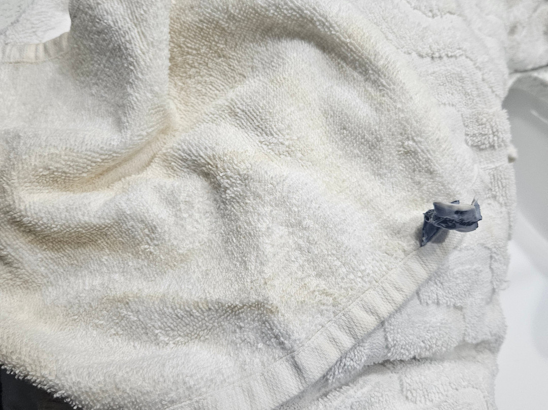 Rodeway Inn Calhoun South主图