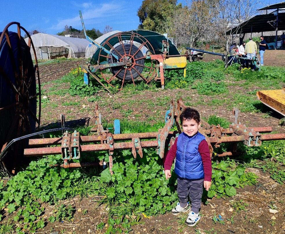 Ktofoti-Beit Lechem Haglilit必去景点