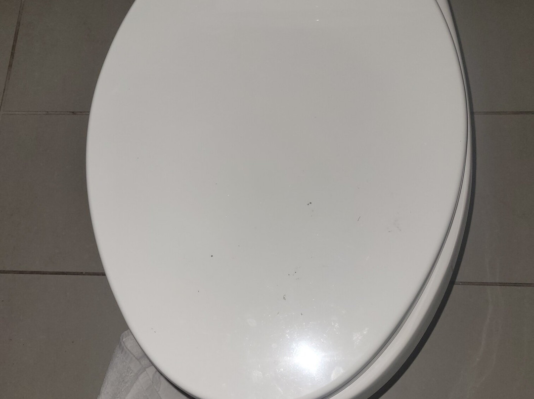 贝斯特韦斯特奥克布鲁克酒店主图