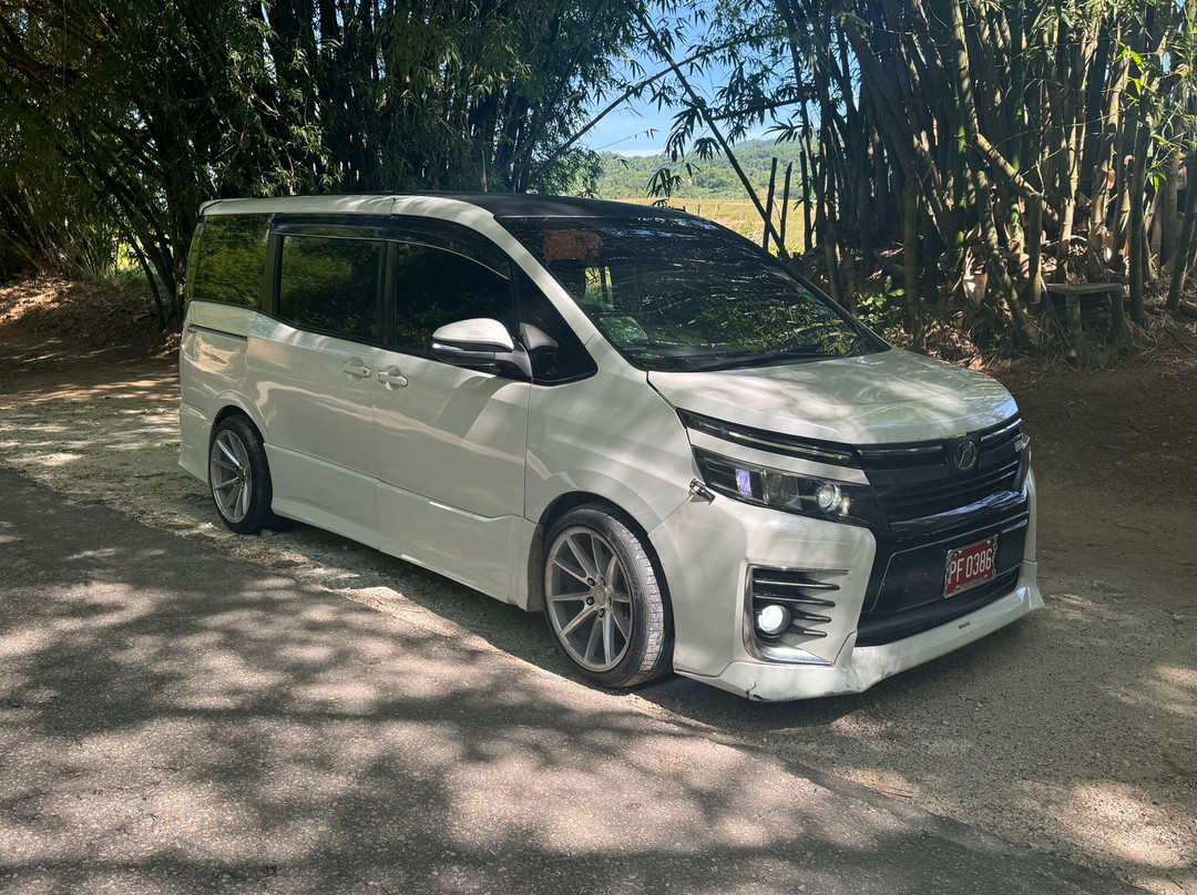 Kenroy's Jamaican Tours景点图片