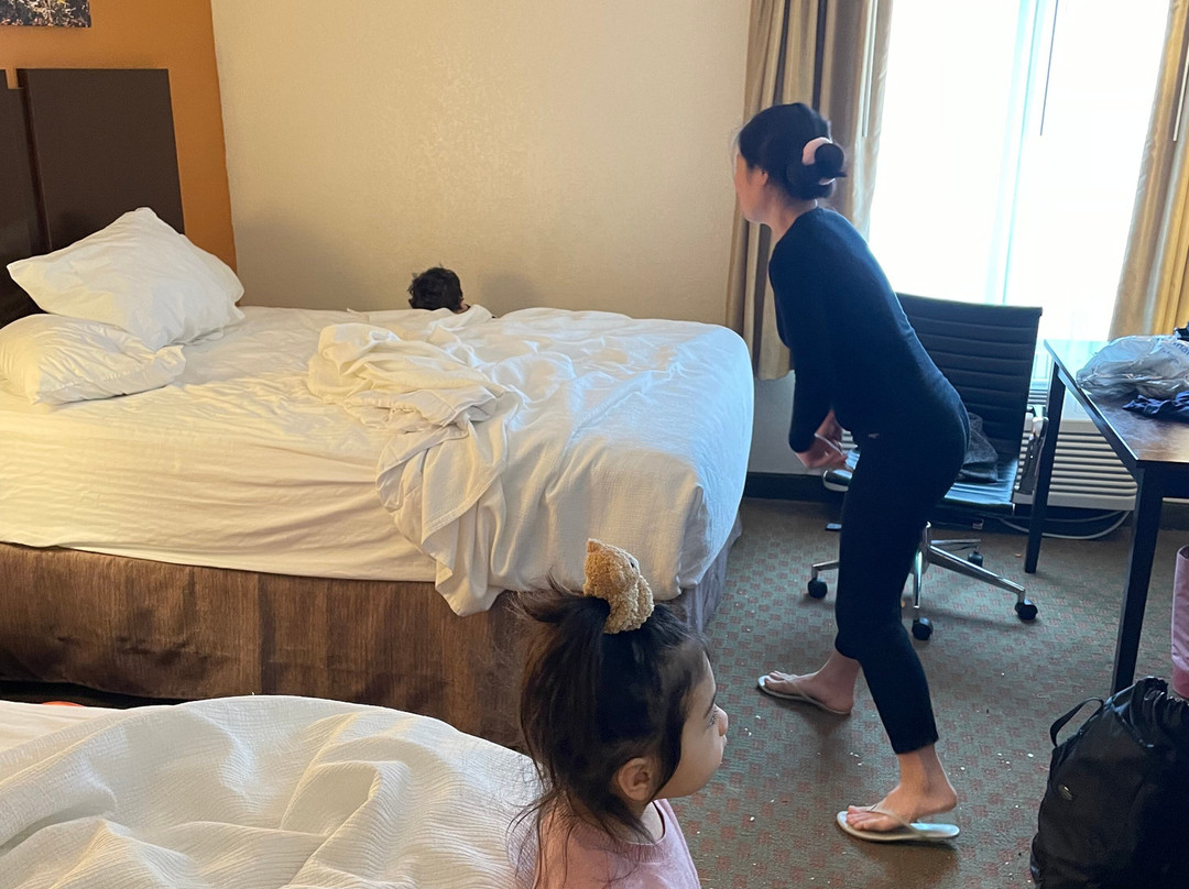 贝斯特韦斯特安提克套房酒店主图