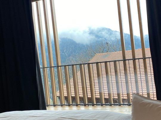 Alpinhotel Vajolet主图