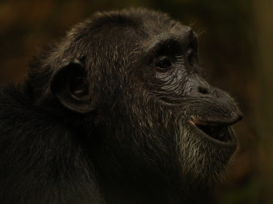 ICEROCK Trekking-内罗毕必去景点