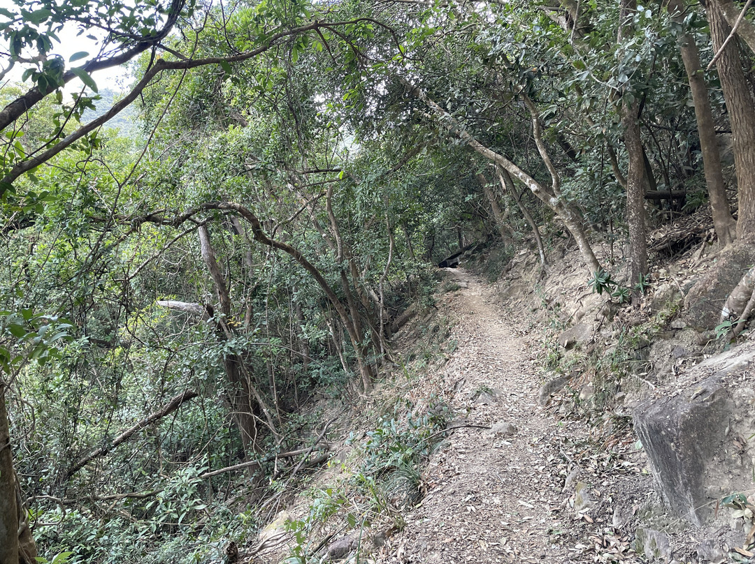 香港仔郊野公园-香港必去景点