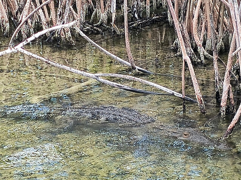 Diamante Maya Tours-锡安卡恩必去景点