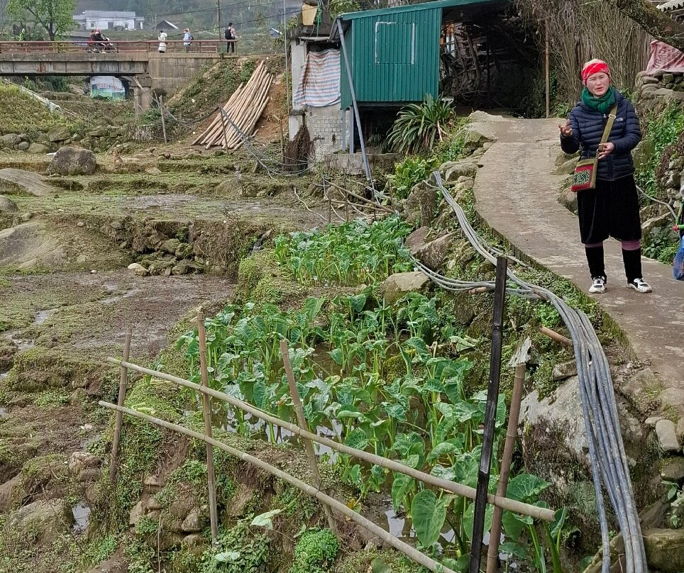 Sapa Tourist Information Center-沙巴必去景点