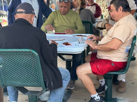 鲍比单车游-芝加哥必去景点