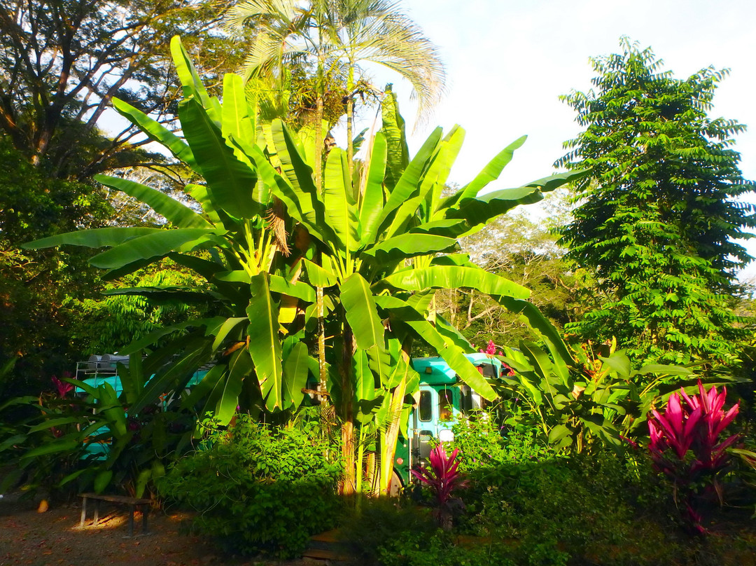 Tribe Boutique Hotel主图