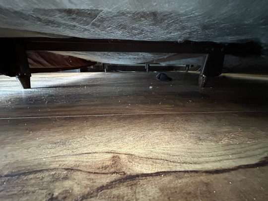 Econo Lodge Sebring主图