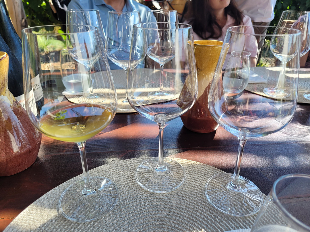 Ampora Wine Tours-门多萨必去景点