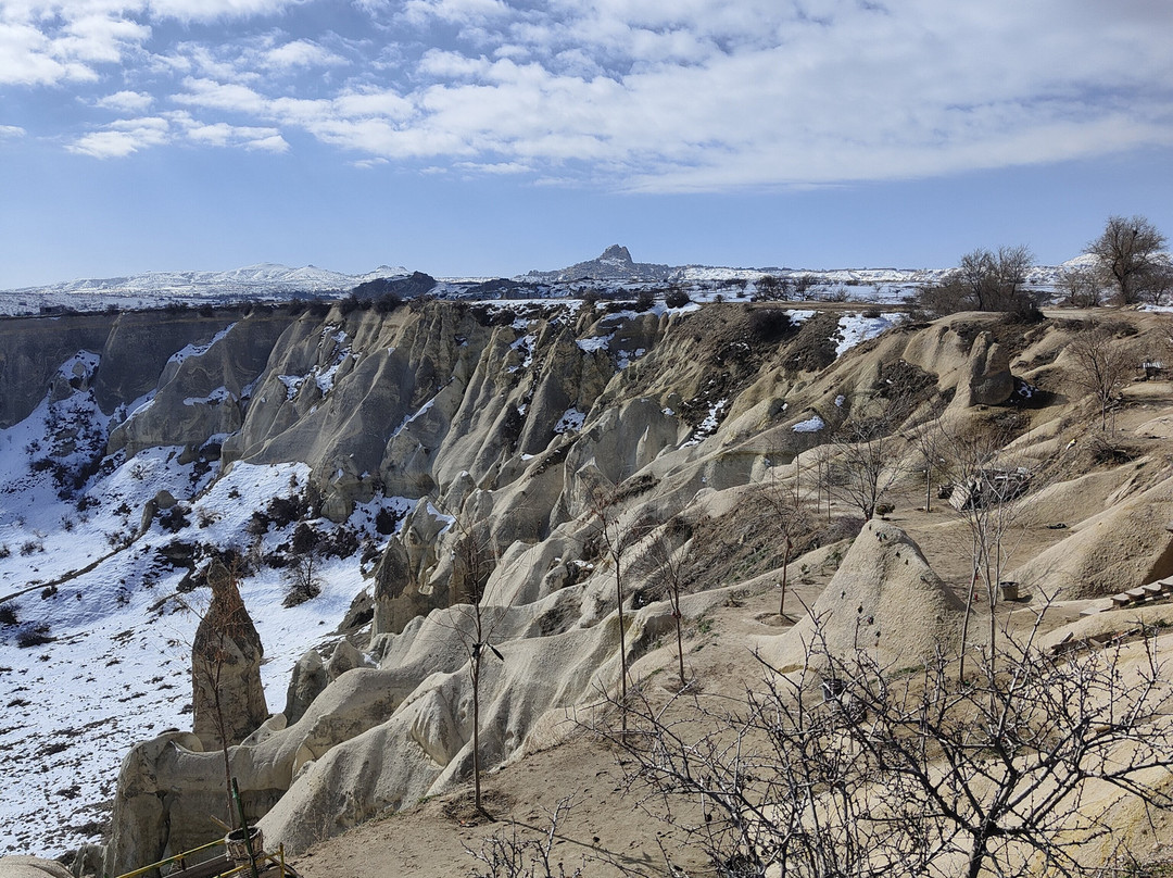 Lilydocia Travel-内夫谢希尔必去景点