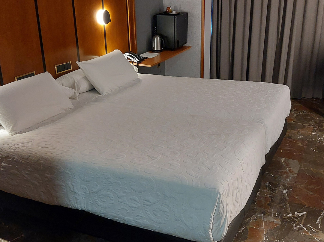 Hotel Condestable Iranzo主图