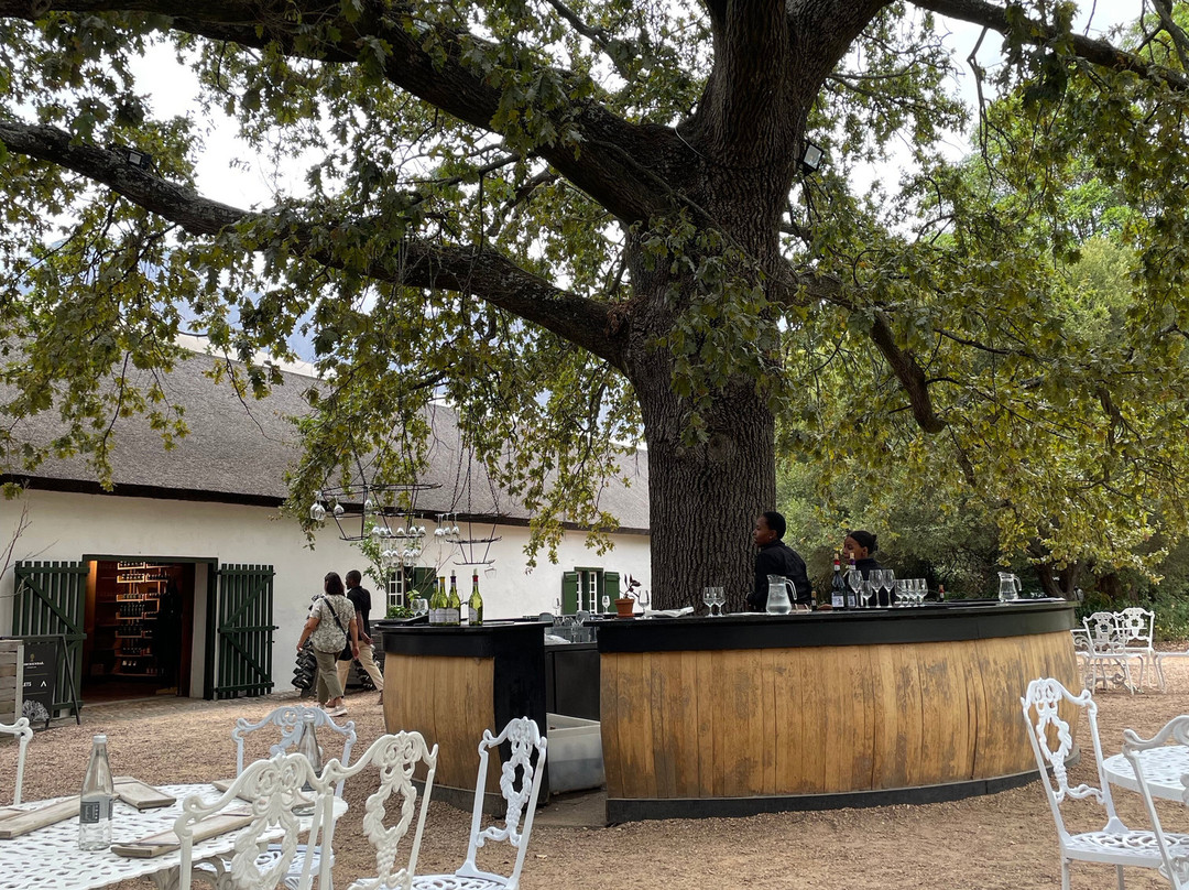 Cellar Door at Boschendal