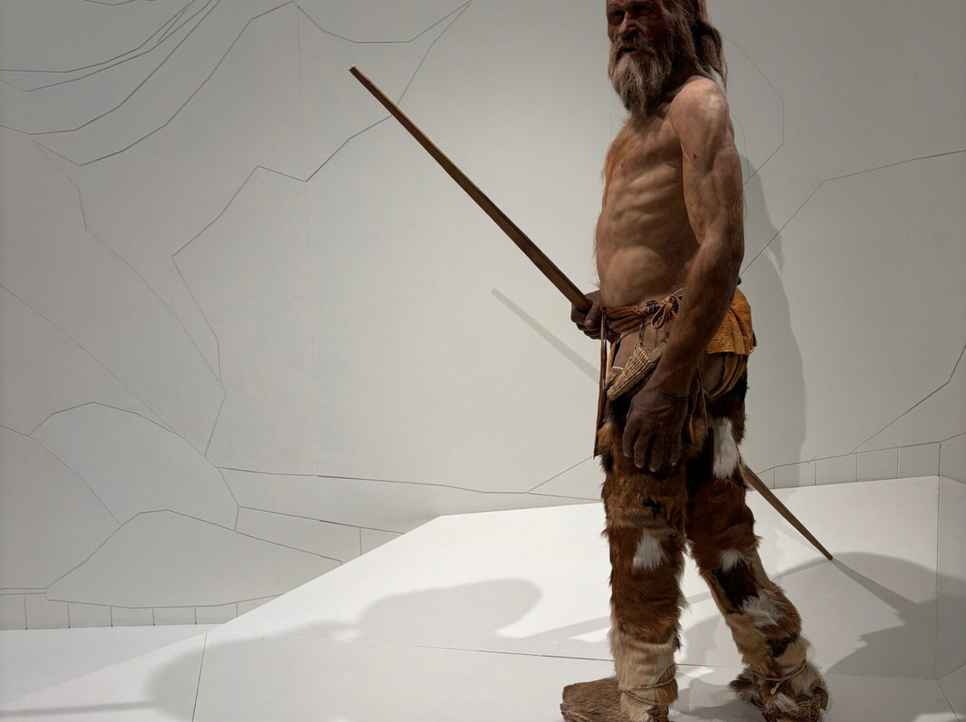 South Tyrol Museum of Archaeology景点图片