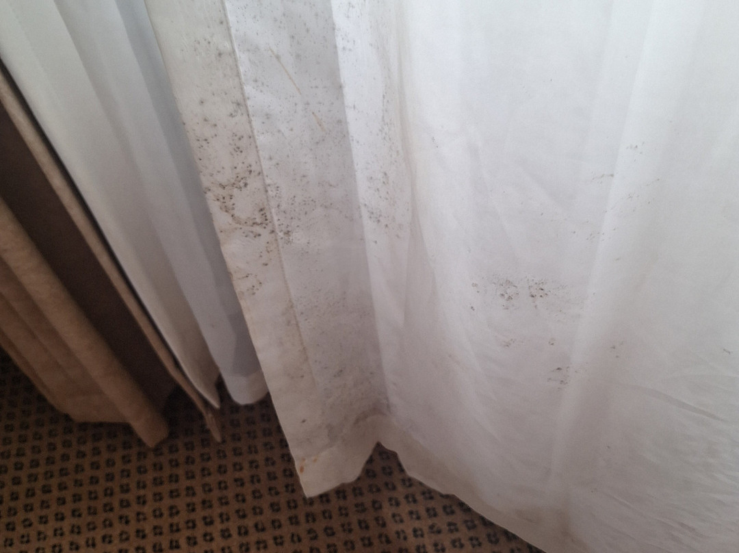 Assegaaibosch Country Lodge主图