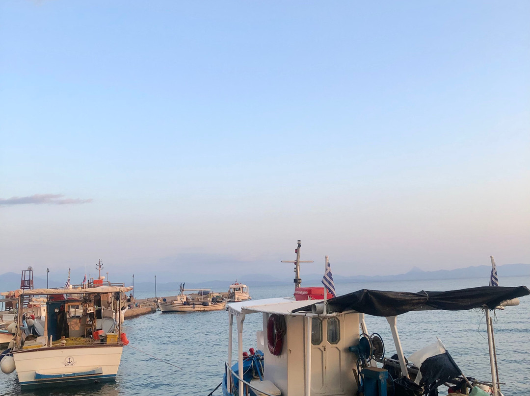 Philoxenia Apartments主图