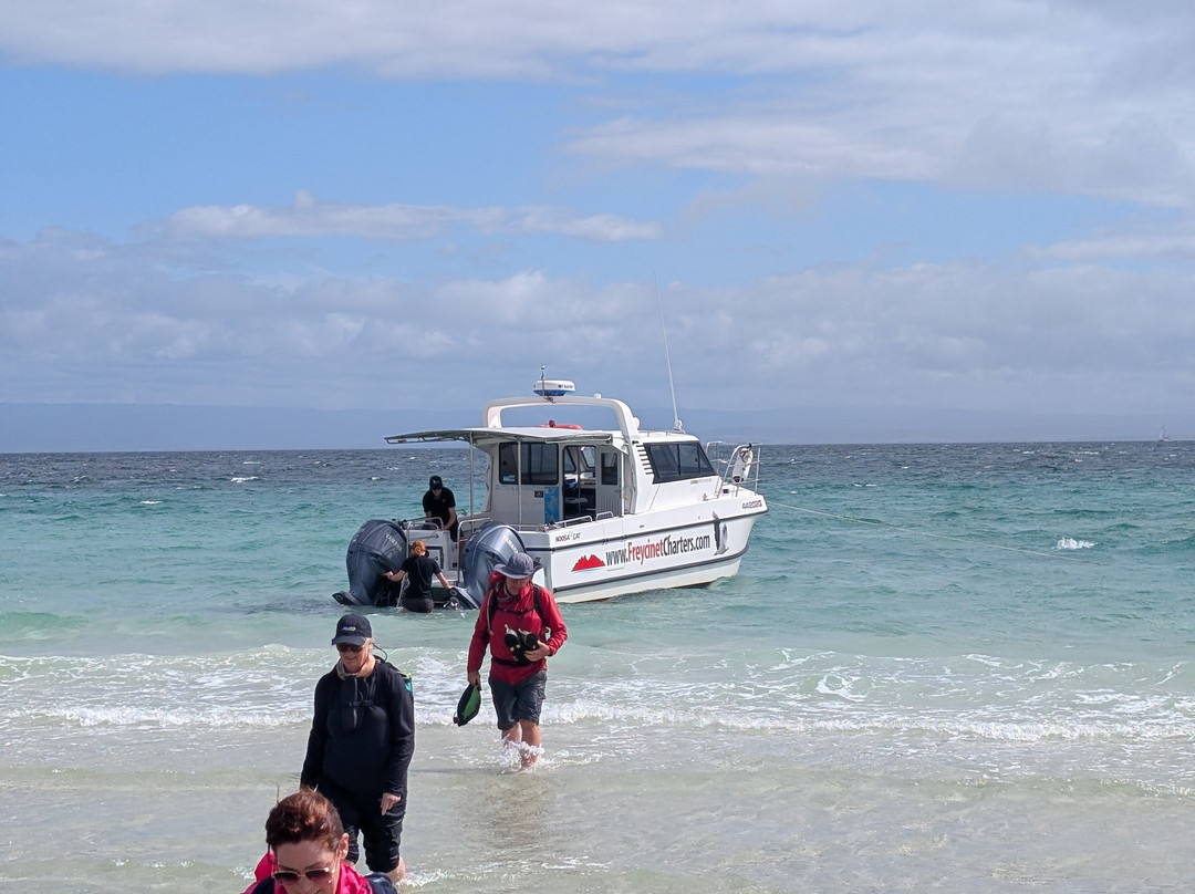 Freycinet Charters-科尔斯湾必去景点