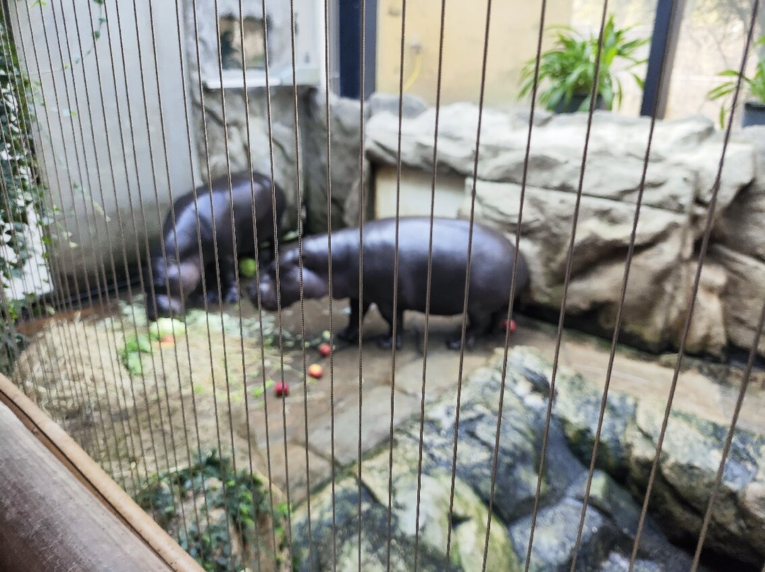 Tierpark Chemnitz-开姆尼斯必去景点