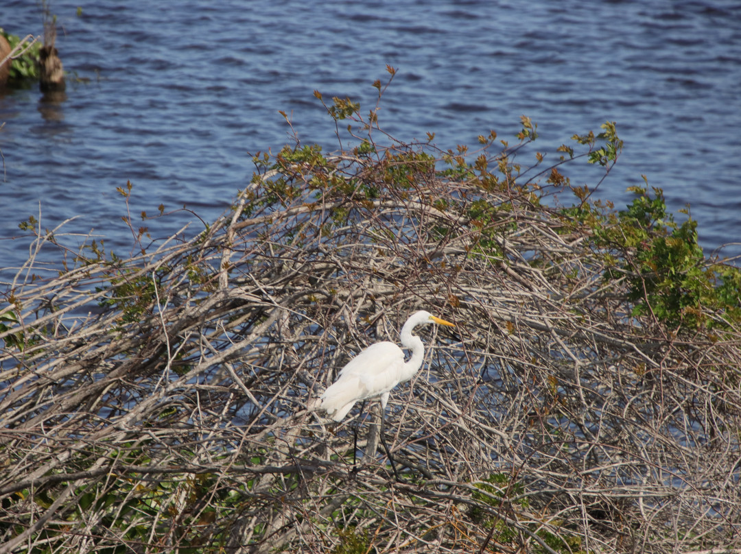 Sugar Express-克莱维斯顿必去景点