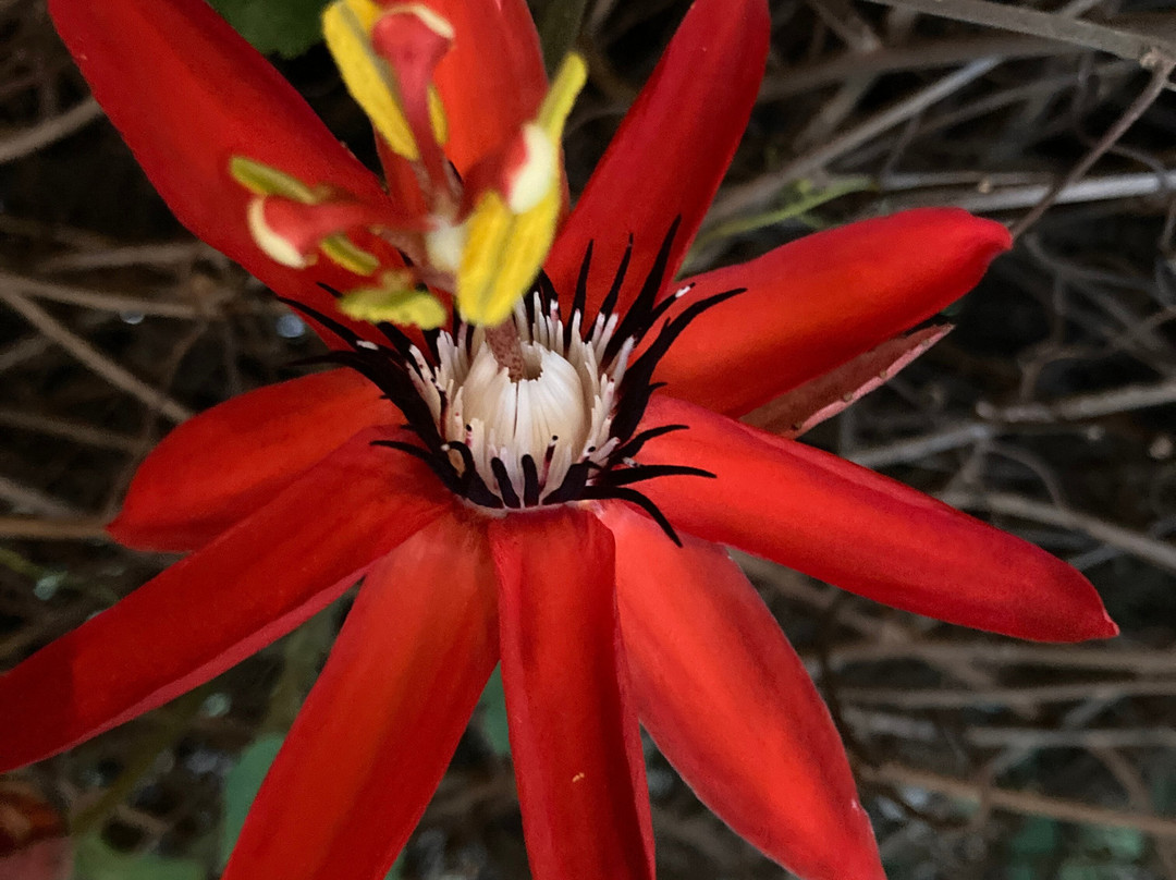 La Sabana Hotel Suites Apartments主图