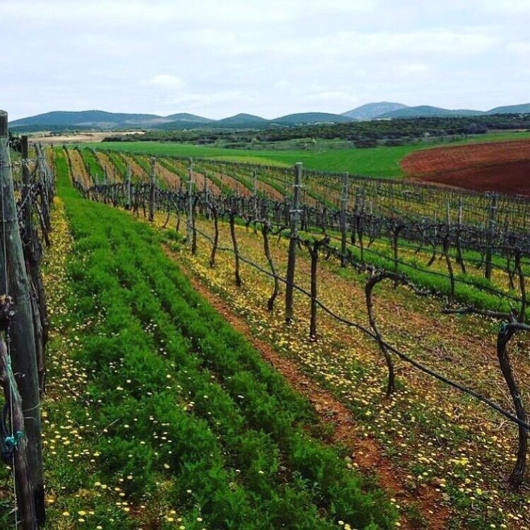 Domaine Kikones景点图片