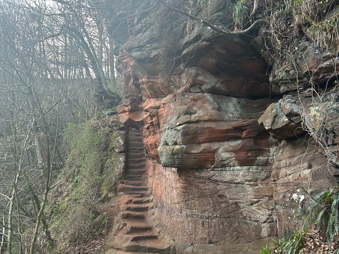 Peden's Cave景点图片