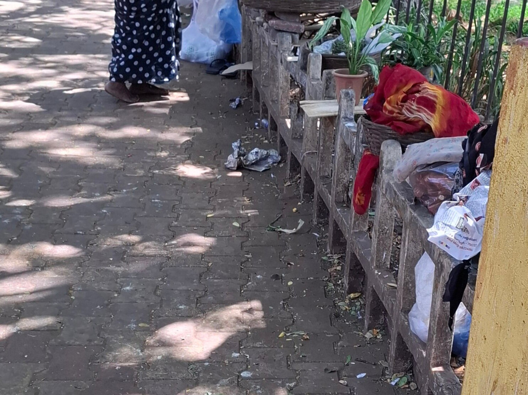 Margao Municipal Park-马尔加奥必去景点