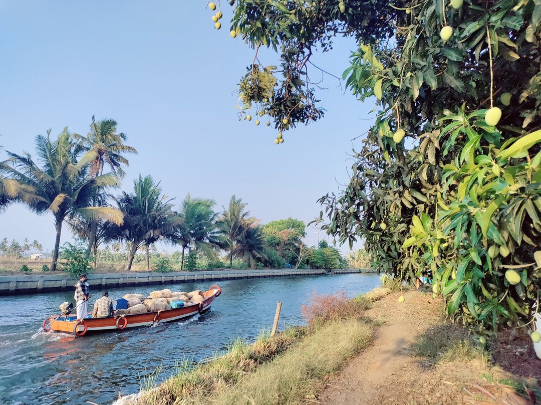 Kalappura Houseboats景点图片