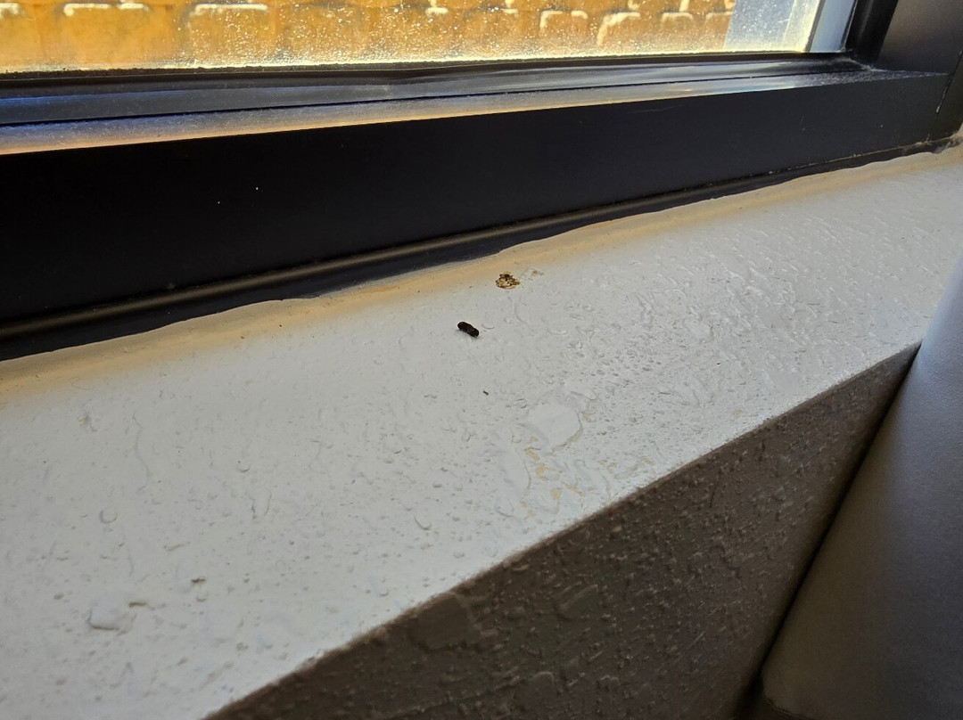 Fairfield by Marriott Inn & Suites Gainesville主图